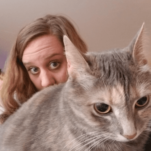 Author Profile Picture