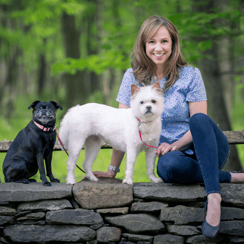 Author Profile Picture