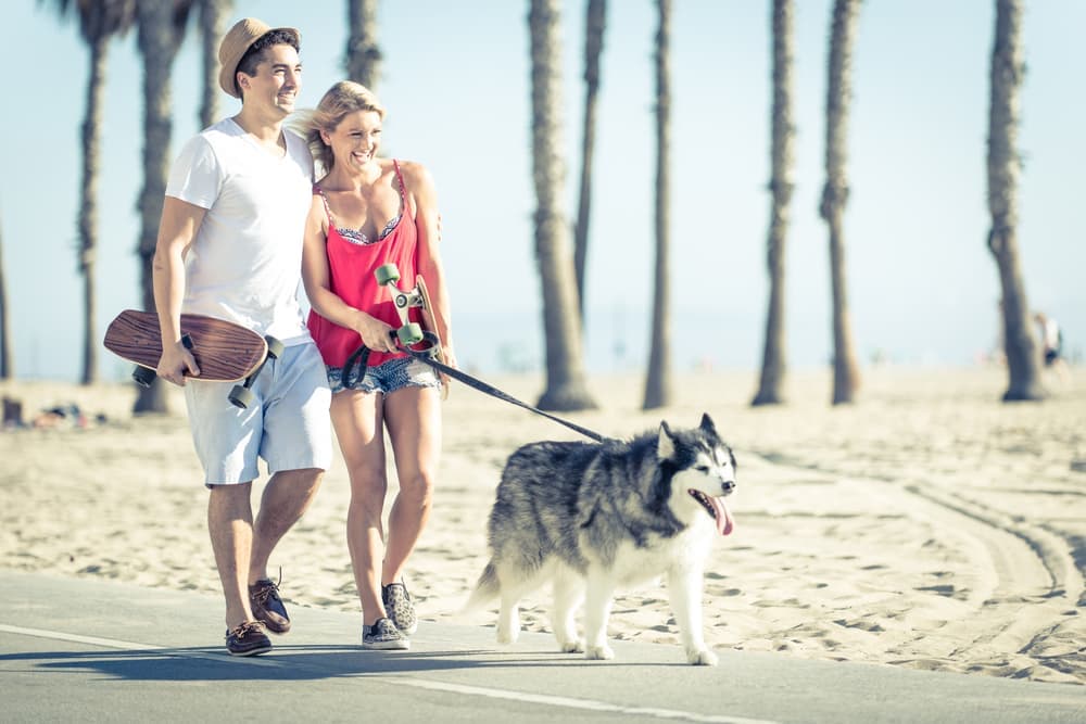 Couple walking dog in Los Angeles