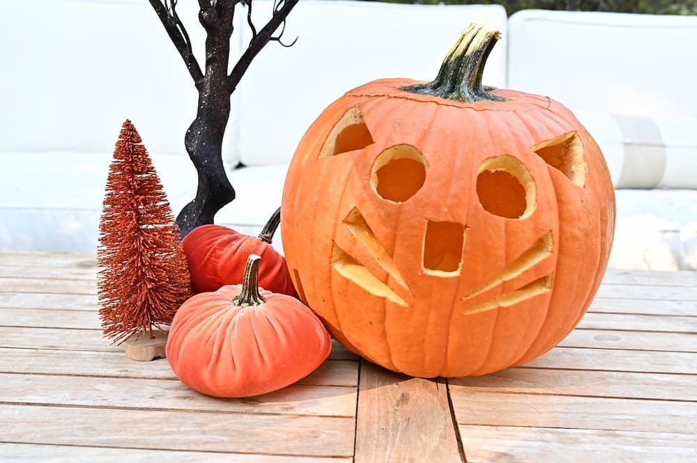 simple cat pumpkin