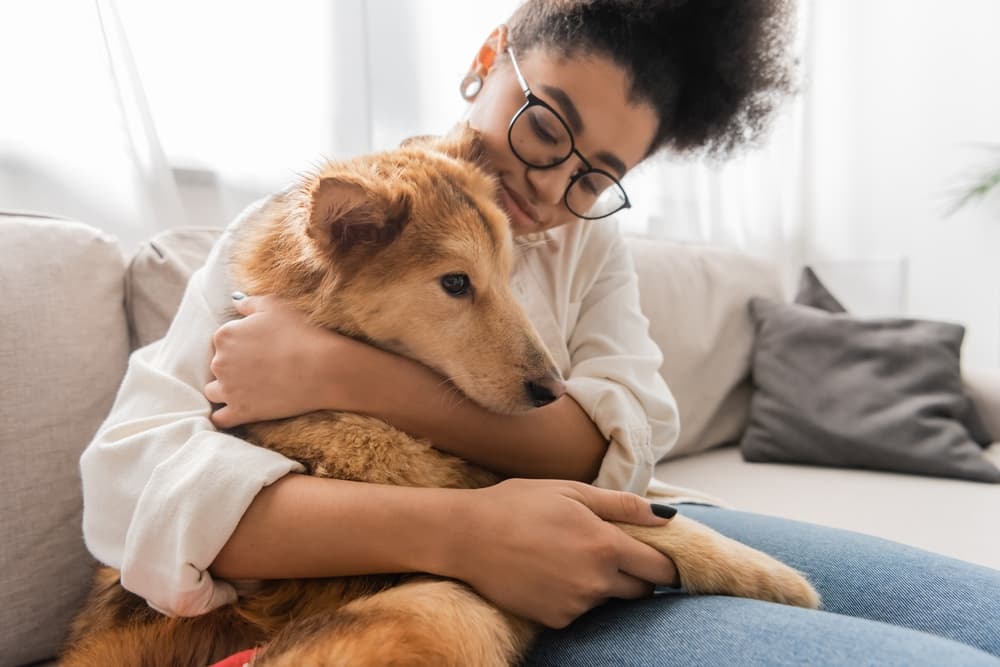 5 Signs Your Dog Imprinted on You